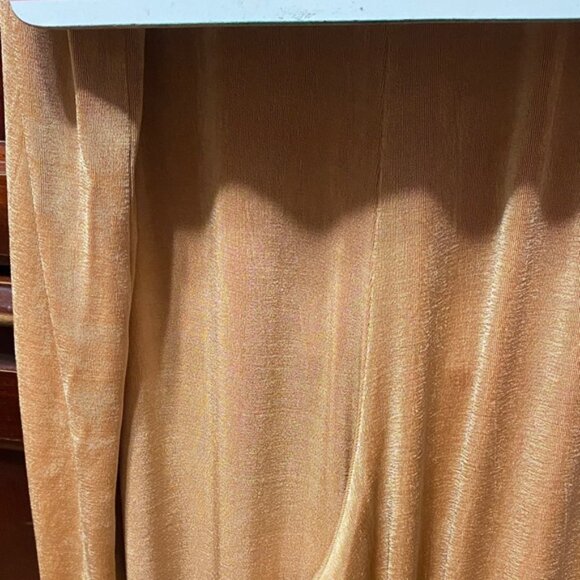 Silhouettes Vintage plus size 3X stretchy Elegant Tan Women's Pants - Picture 15 of 16